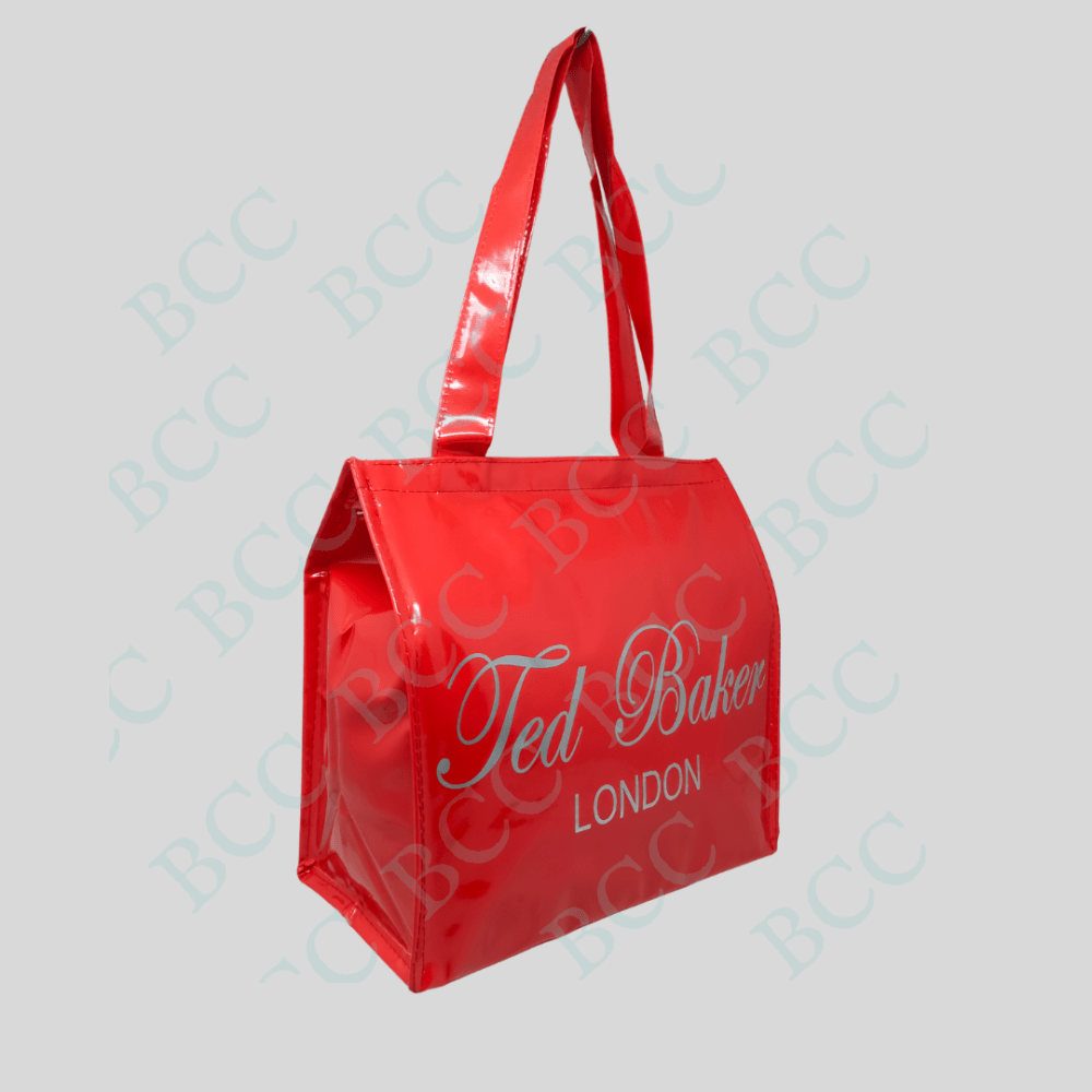 BCC Classic Printed Tiffin/Shopping/Grocery Hand Bag with Zip & Handle Made With Jelly MateriaL for Women's - Image 2